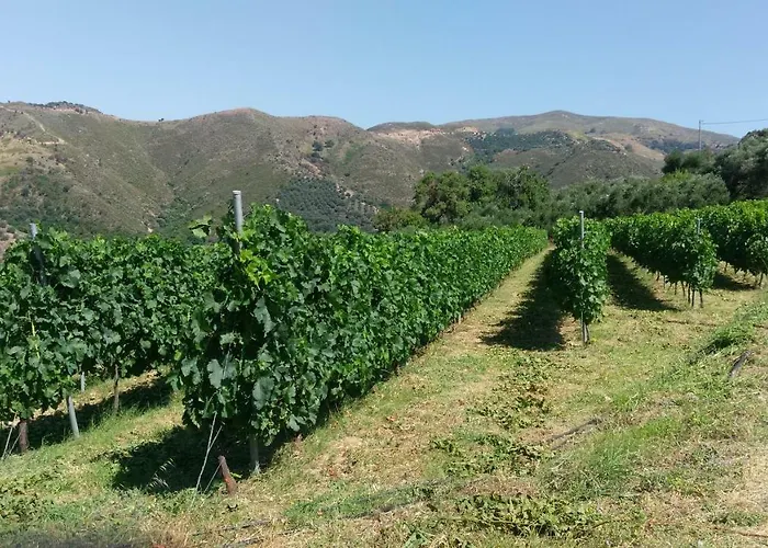 Апартаменты Chaniastay *