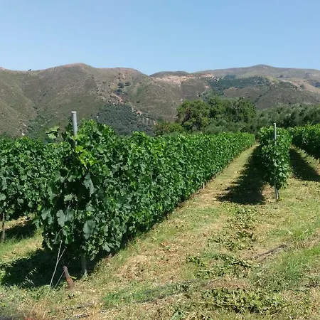 Apartment Chaniastay *